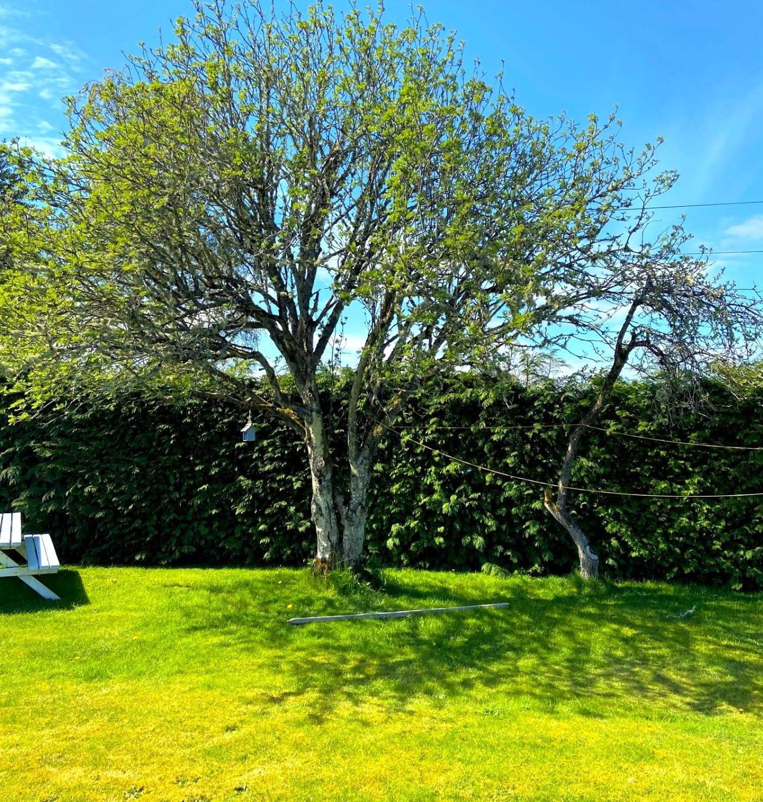 26 Green Drive Inverness Inshes Dış mekan fotoğraf